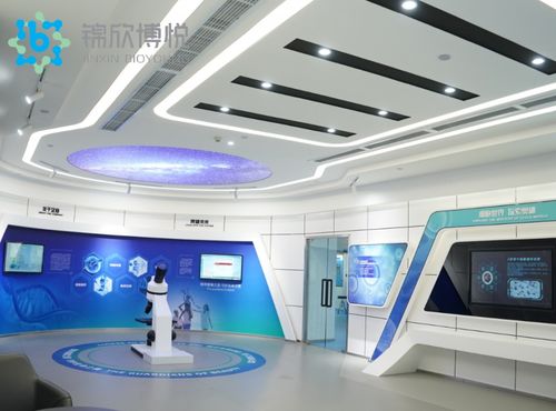 成功入庫國家項目，成都錦欣博悅加速技術創新與軟件開發布局